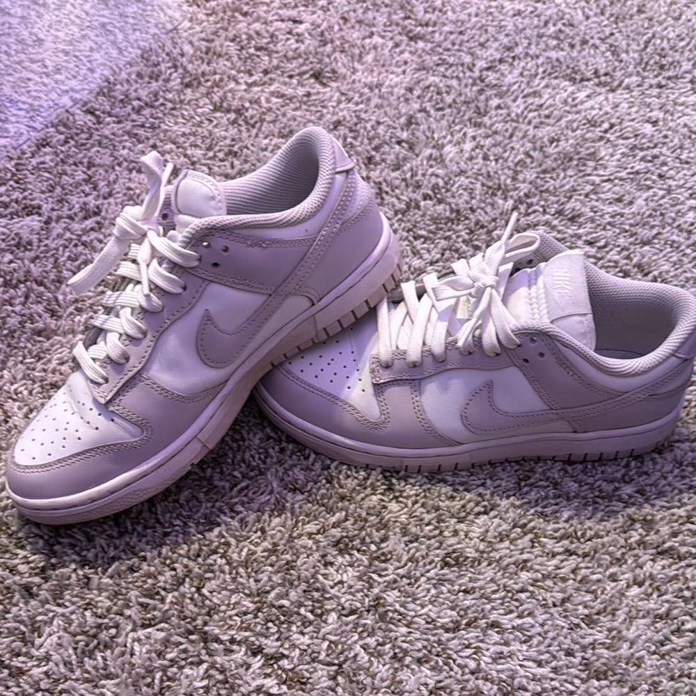 nike dunk low venice